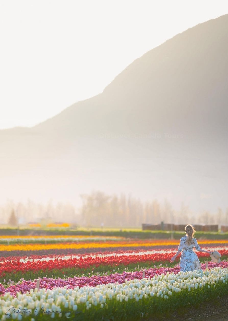 Discover Canada Tours 14